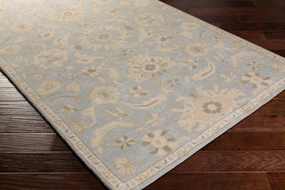 Caesar CAE-1162 Pale-Blue Area Rug by LIVABLISS