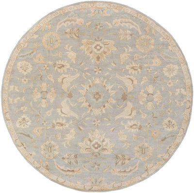 Caesar CAE-1162 Pale-Blue Area Rug by LIVABLISS