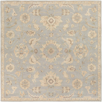 Caesar CAE-1162 Pale-Blue Area Rug by LIVABLISS