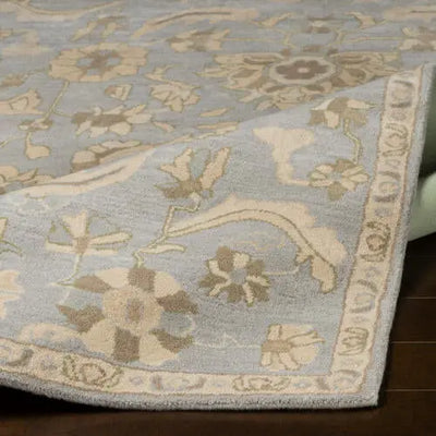 Caesar CAE-1162 Pale-Blue Area Rug by LIVABLISS