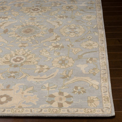Caesar CAE-1162 Pale-Blue Area Rug by LIVABLISS