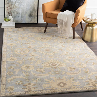 Caesar CAE-1162 Pale-Blue Area Rug by LIVABLISS