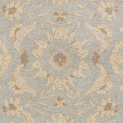 Caesar CAE-1162 Pale-Blue Area Rug by LIVABLISS