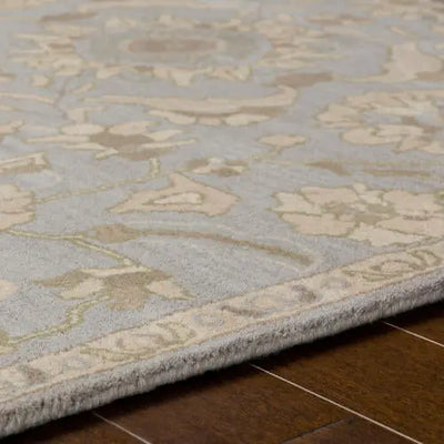 Caesar CAE-1162 Pale-Blue Area Rug by LIVABLISS