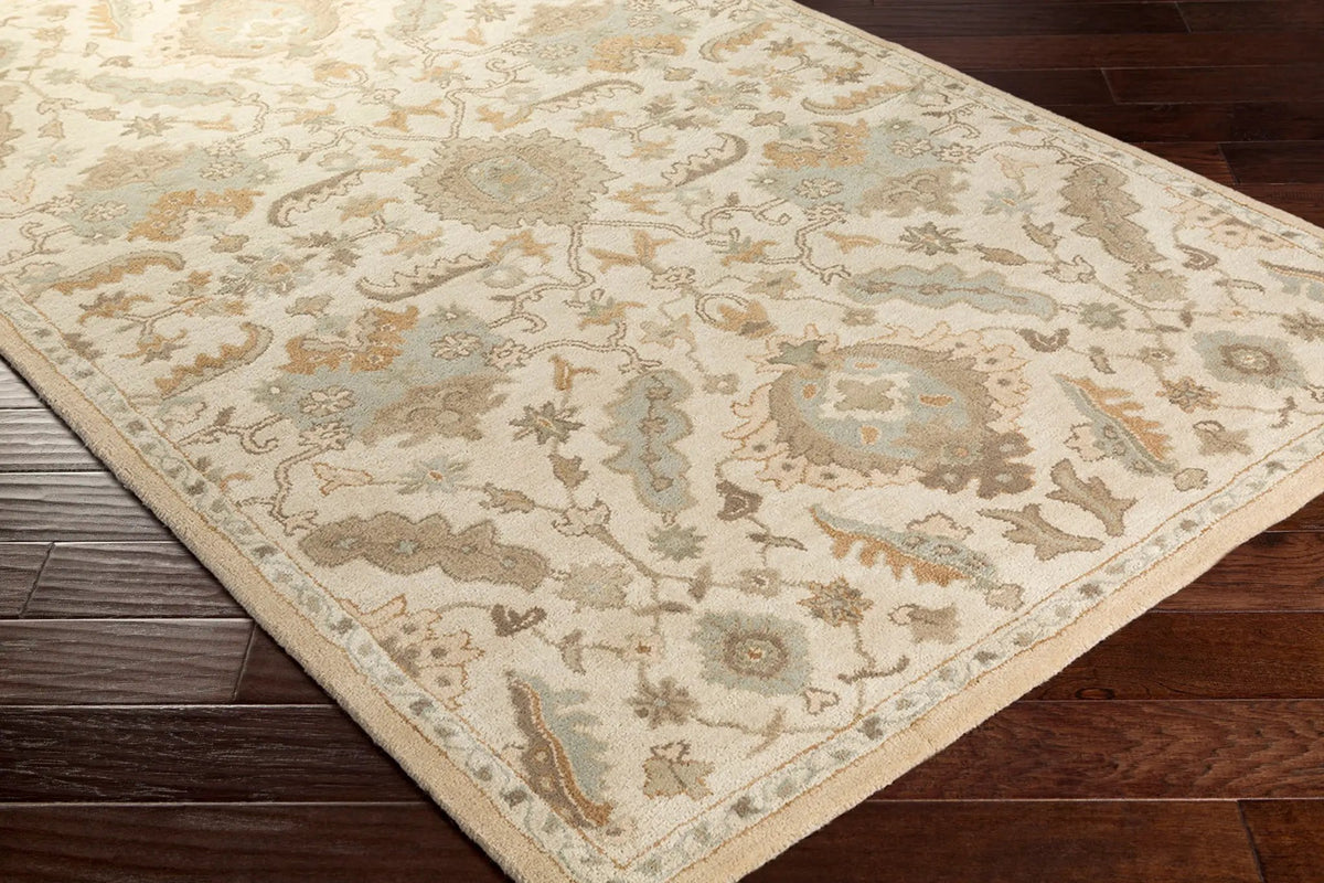 Caesar CAE-1166 Cream Area Rug by LIVABLISS