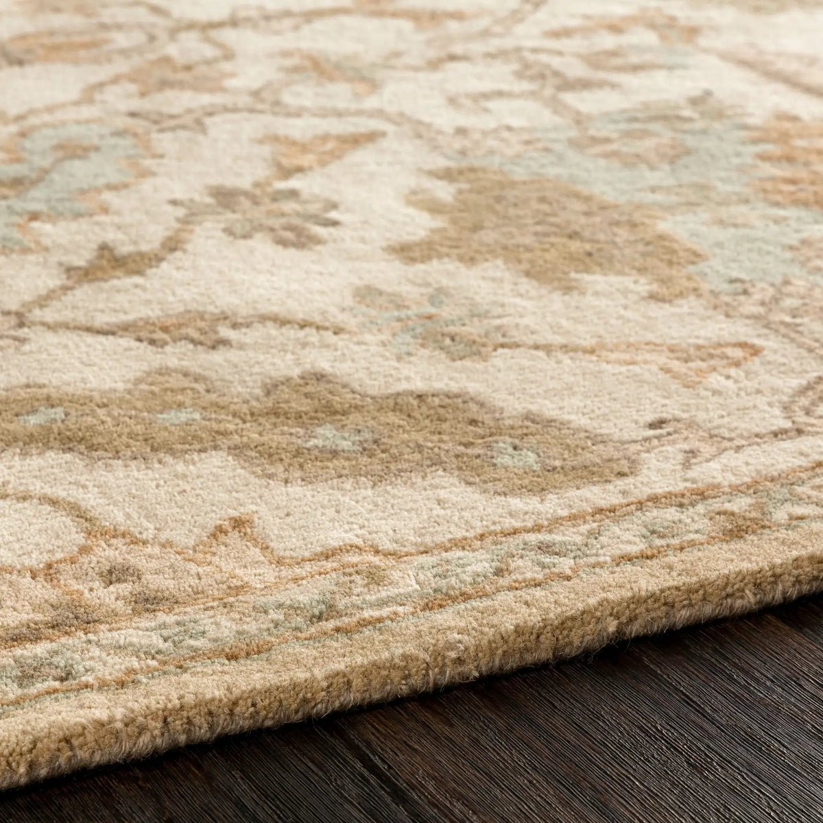 Caesar CAE-1166 Cream Area Rug by LIVABLISS