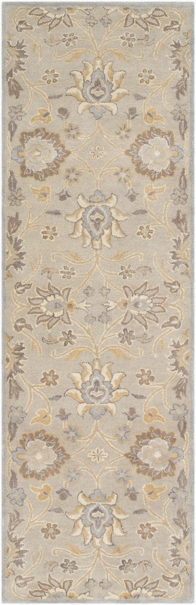 Caesar CAE-1192 Taupe Area Rug by LIVABLISS