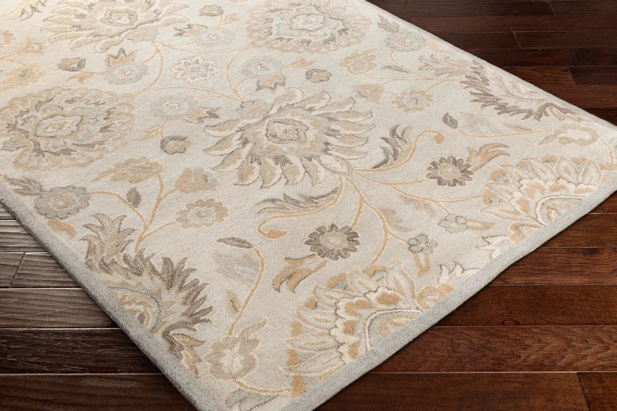 Caesar CAE-1192 Taupe Area Rug by LIVABLISS