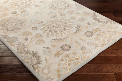 Caesar CAE-1192 Taupe Area Rug by LIVABLISS