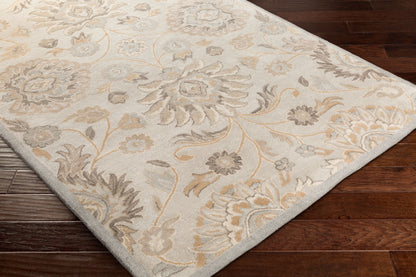 LIVABLISS Caesar CAE-1192 Hand Tufted Area Rug