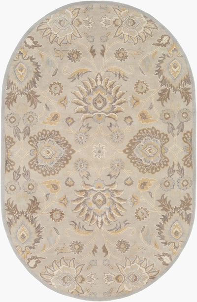 Caesar CAE-1192 Taupe Area Rug by LIVABLISS