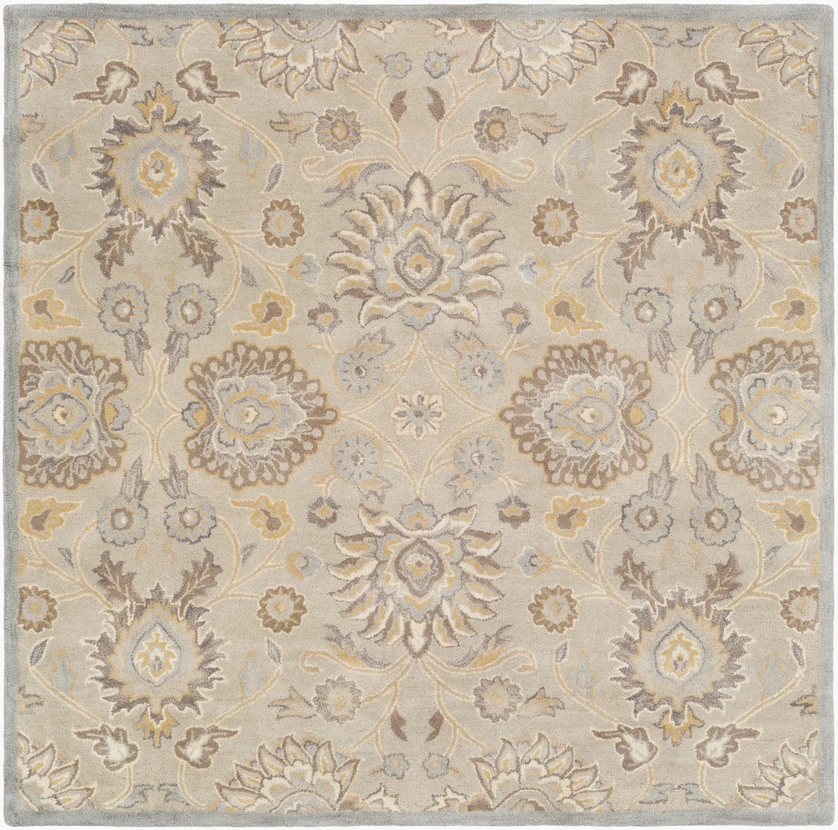 Caesar CAE-1192 Taupe Area Rug by LIVABLISS