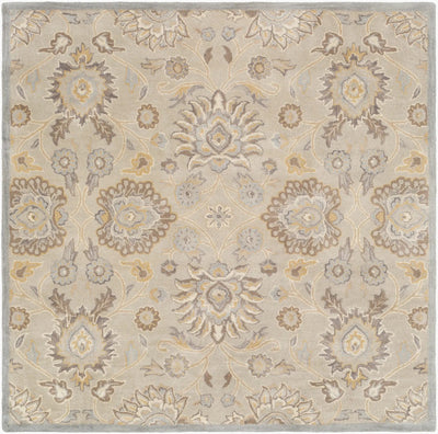 Caesar CAE-1192 Taupe Area Rug by LIVABLISS
