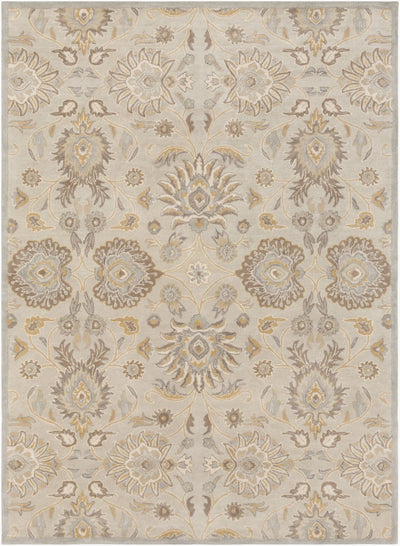 Caesar CAE-1192 Taupe Area Rug by LIVABLISS