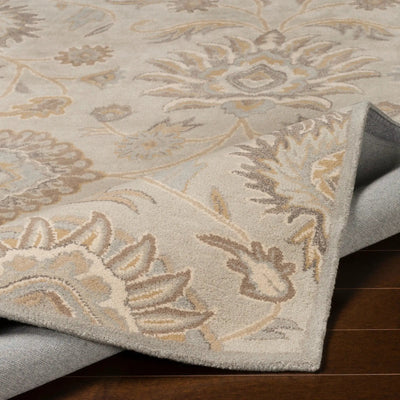 Caesar CAE-1192 Taupe Area Rug by LIVABLISS