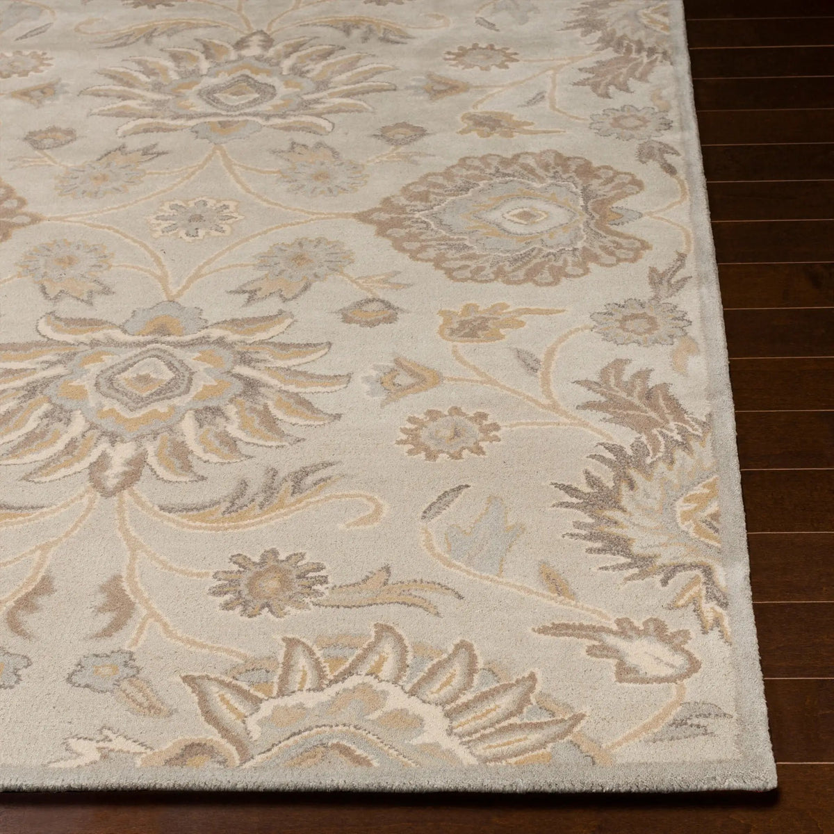 Caesar CAE-1192 Taupe Area Rug by LIVABLISS