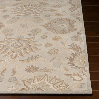 Caesar CAE-1192 Taupe Area Rug by LIVABLISS