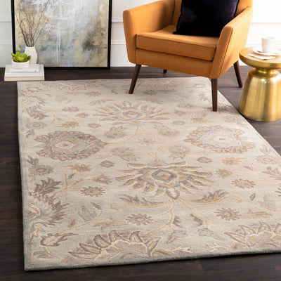 Caesar CAE-1192 Taupe Area Rug by LIVABLISS