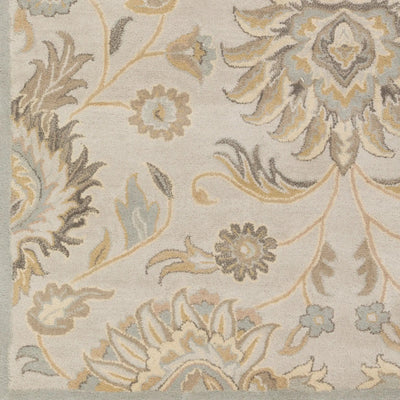 Caesar CAE-1192 Taupe Area Rug by LIVABLISS