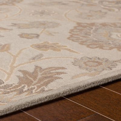 Caesar CAE-1192 Taupe Area Rug by LIVABLISS