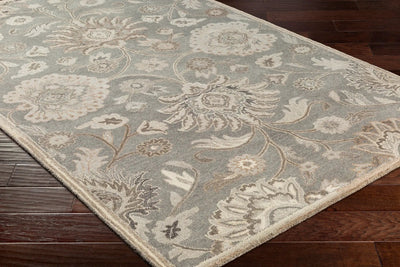 Caesar CAE-1195 Taupe Area Rug by LIVABLISS