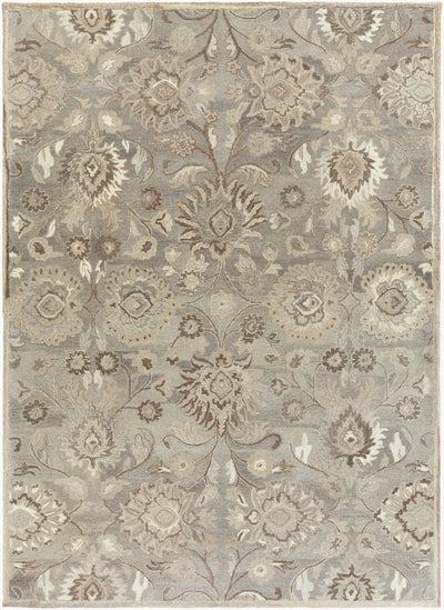 Caesar CAE-1195 Taupe Area Rug by LIVABLISS