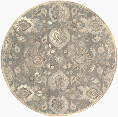 Caesar CAE-1195 Taupe Area Rug by LIVABLISS