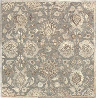 Caesar CAE-1195 Taupe Area Rug by LIVABLISS