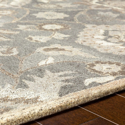 Caesar CAE-1195 Taupe Area Rug by LIVABLISS
