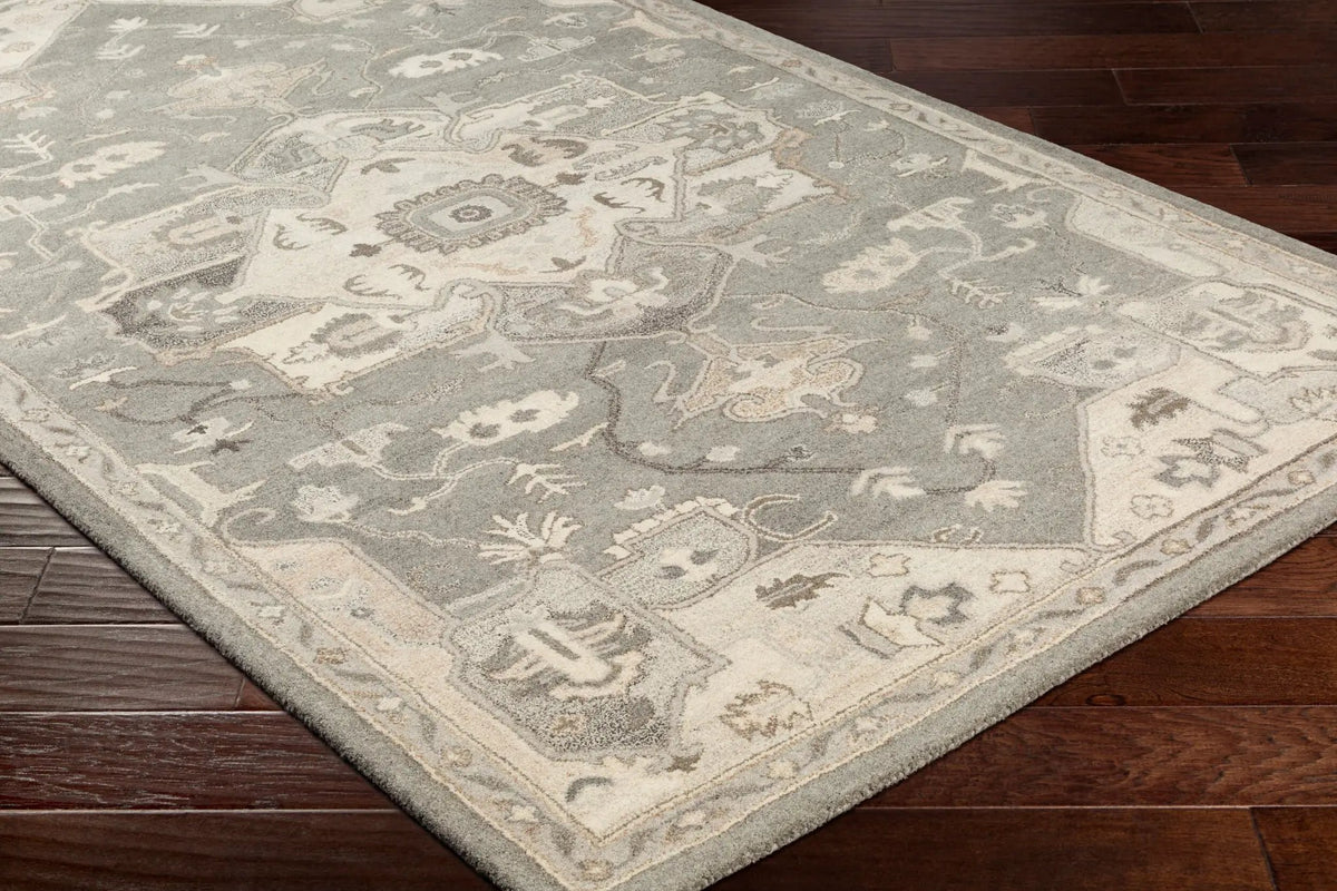 Caesar CAE-1196 Taupe Area Rug by LIVABLISS