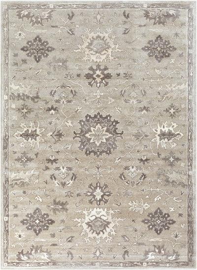LIVABLISS Caesar CAE-1197 Taupe Hand Tufted Area Rug