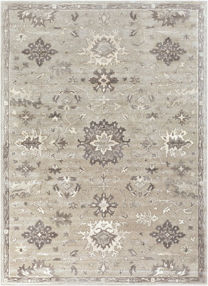LIVABLISS Caesar CAE-1197 Taupe Hand Tufted Area Rug