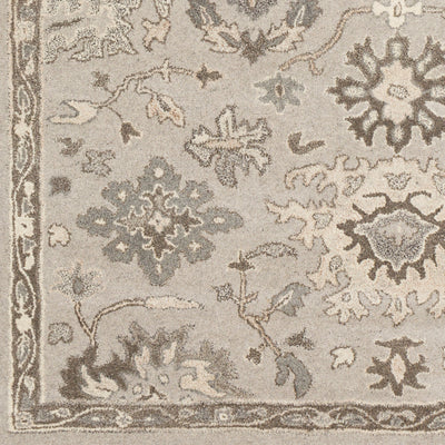 LIVABLISS Caesar CAE-1197 Taupe Hand Tufted Area Rug