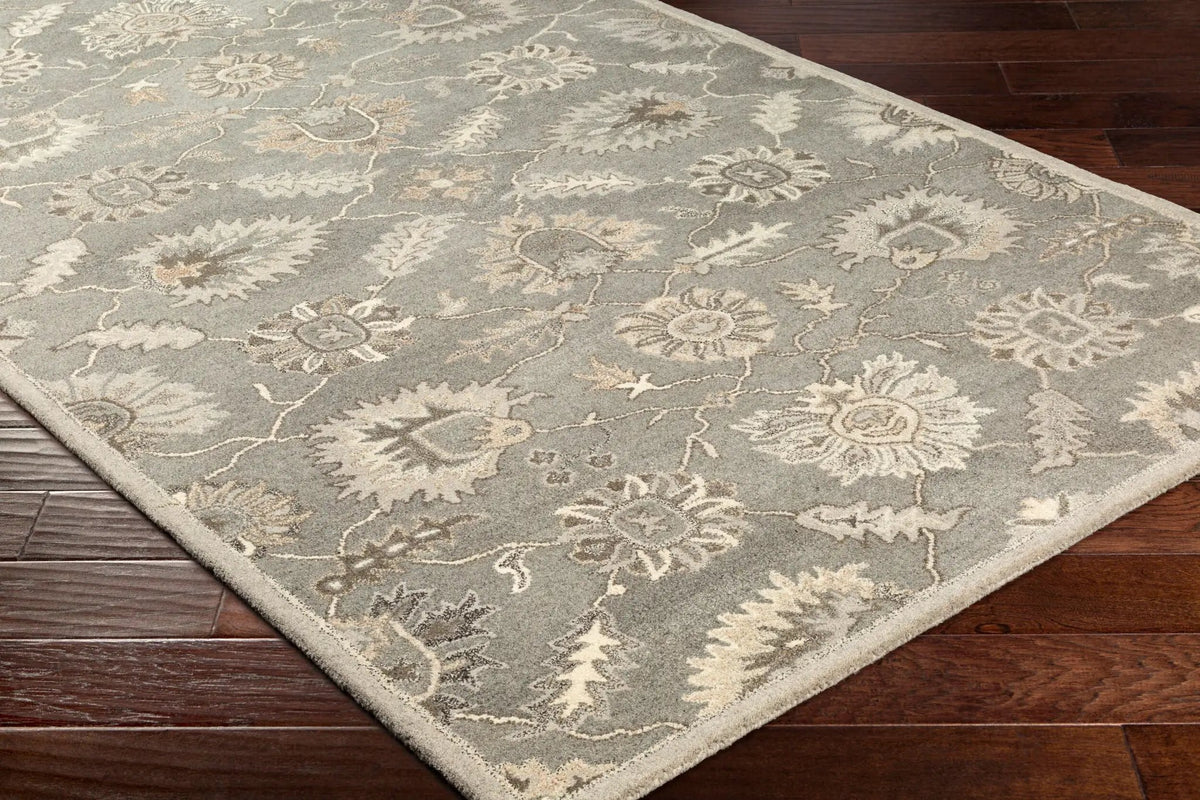 Caesar CAE-1199 Taupe Area Rug by LIVABLISS