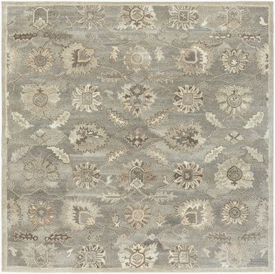 LIVABLISS Caesar CAE-1199 Taupe Hand Tufted Area Rug