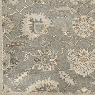 LIVABLISS Caesar CAE-1199 Taupe Hand Tufted Area Rug