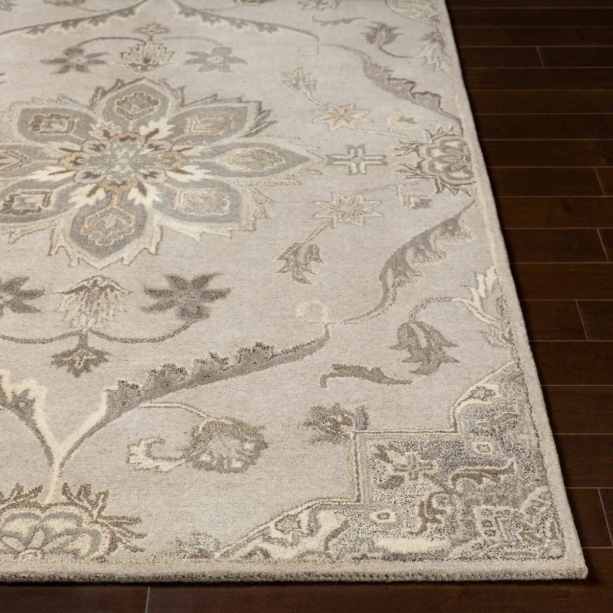 Caesar CAE-1201 Taupe Area Rug by LIVABLISS