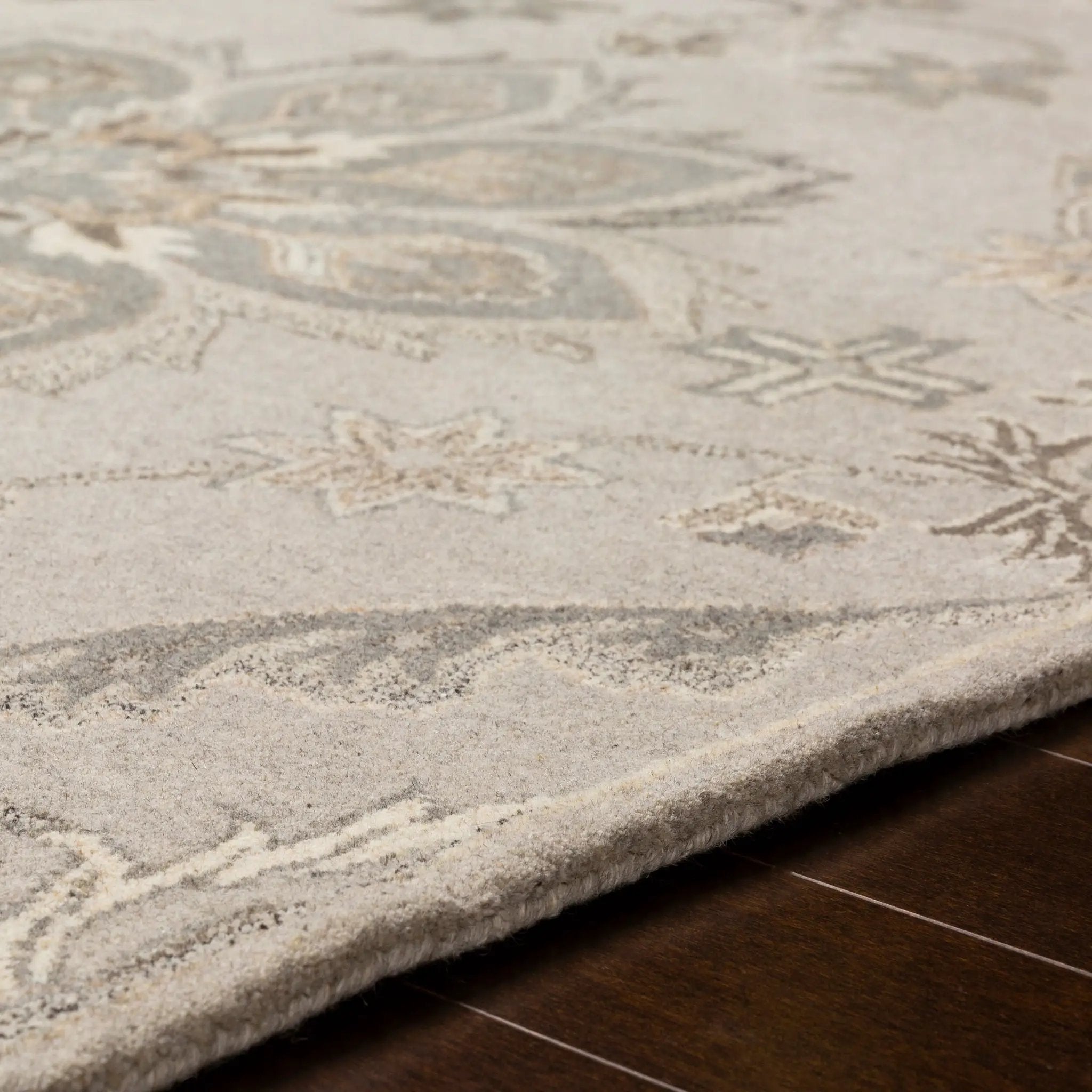 Caesar CAE-1201 Taupe Area Rug by LIVABLISS