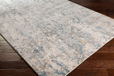 Surya Cardiff CDF-2300 Light Gray Area Rug by LIVABLISS