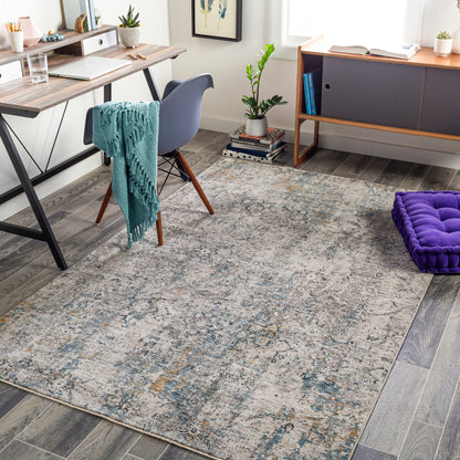 Surya Cardiff CDF-2300 Light Gray Area Rug by LIVABLISS