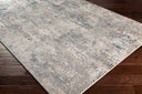 Surya Cardiff CDF-2302 Light Gray Area Rug by LIVABLISS