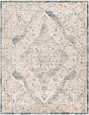 Surya Cardiff CDF-2303 Medium Gray Area Rug by LIVABLISS