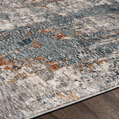 Surya Cardiff CDF-2305 Medium Gray Area Rug by LIVABLISS