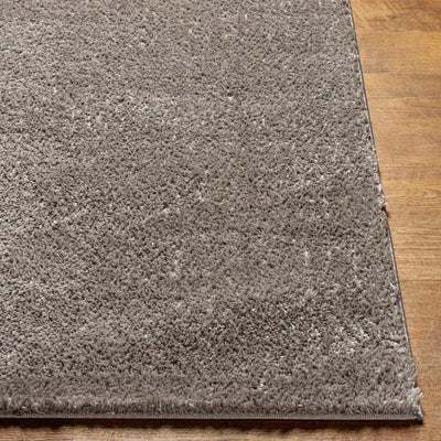 LIVABLISS Cloudy Shag CDG-2304 Charcoal Area Rug
