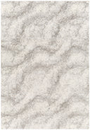 LIVABLISS Cloudy Shag CDG-2306 Area Rug