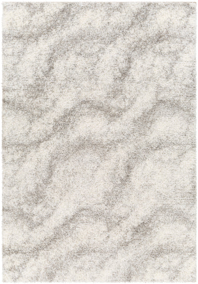 Surya Cloudy Shag CDG-2306 Off-White Area Rug by LIVABLISS