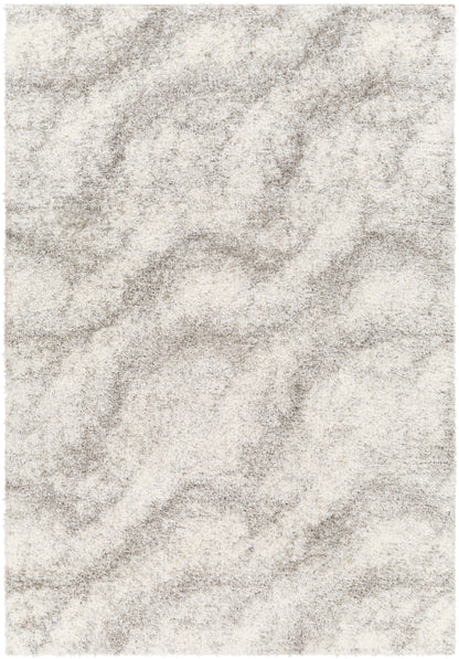 Surya Cloudy Shag CDG-2306 Off-White Area Rug by LIVABLISS