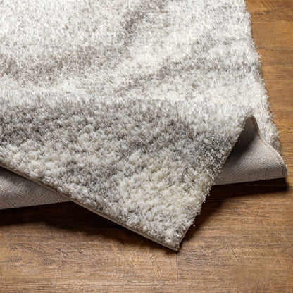 Surya Cloudy Shag CDG-2306 Off-White Area Rug by LIVABLISS