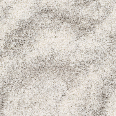Surya Cloudy Shag CDG-2306 Off-White Area Rug by LIVABLISS