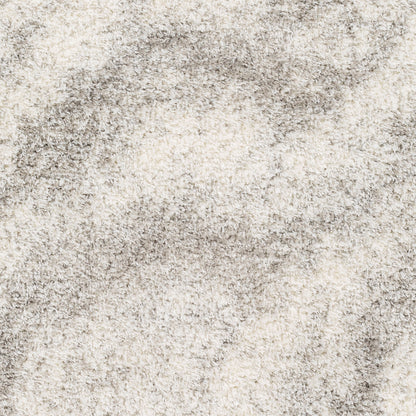 Surya Cloudy Shag CDG-2306 Off-White Area Rug by LIVABLISS
